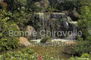 Morikami Waterfall