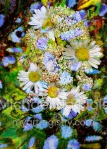 Daisys and Butterfly Wings