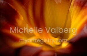 Burning Iris