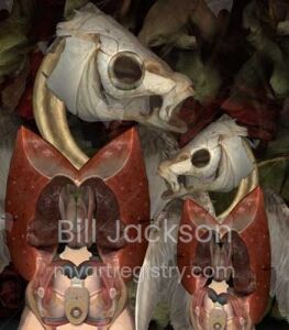 The Fish Twins
