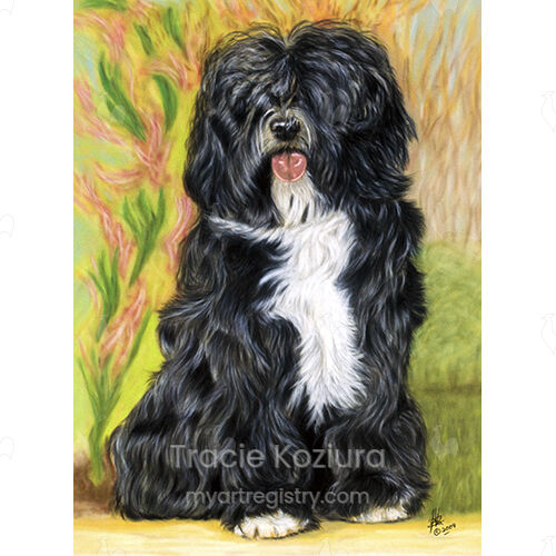 Tibetan Terrier