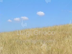 Nuvole