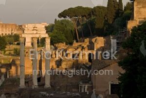 Roman Ruins