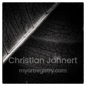 Leaf I.