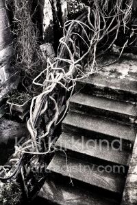 Steps