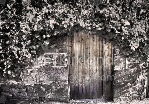 Secret door