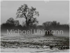 Nebel - Aus der Serie >Farben einer Landschaft<