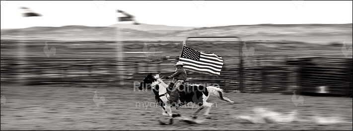The Flag