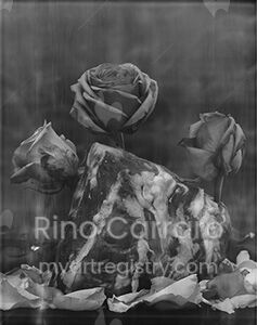 Projet Mojave "Desert Flower"