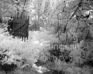 (r)ausgestellt 96x120cm / 80x100cm
