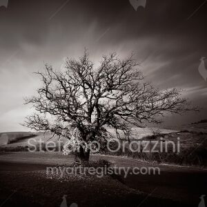 Maestosity