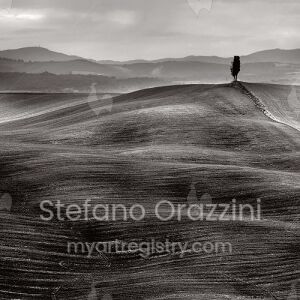 Tuscany Dunes