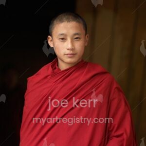 Young Monk