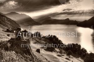 from the Series "The Lake" (Vierwaldstättersee)