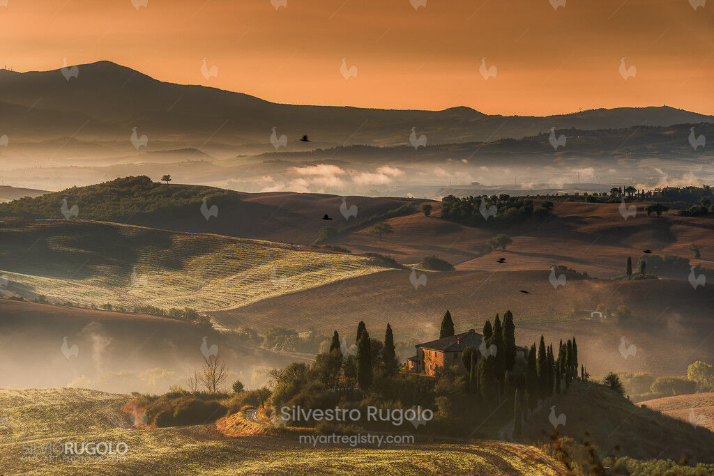Belvedere