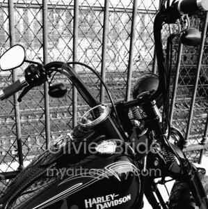 Harley