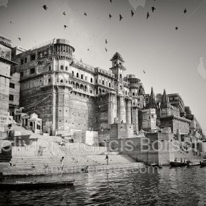 Venarasi - Study 3