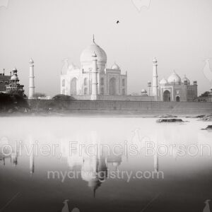TAJ Study 2
