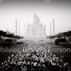 Taj MAhal : Study 1