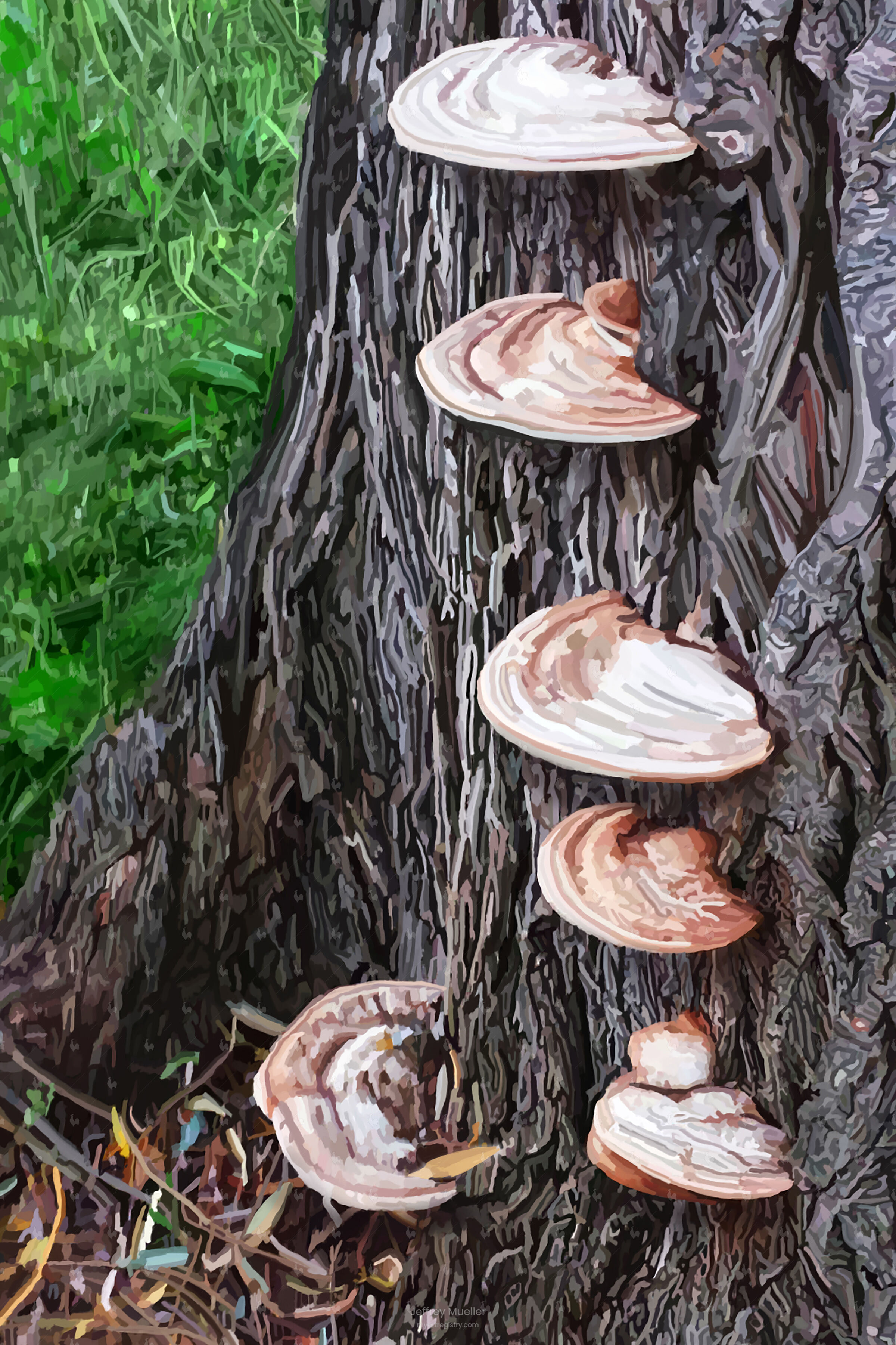 Mushrooms To Heaven