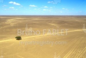 Alone in the desert