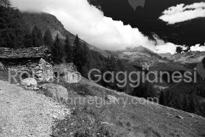 Alpe Laresin