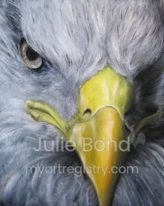 Eagle Eye