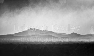 Sand Storm