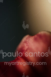 Carne