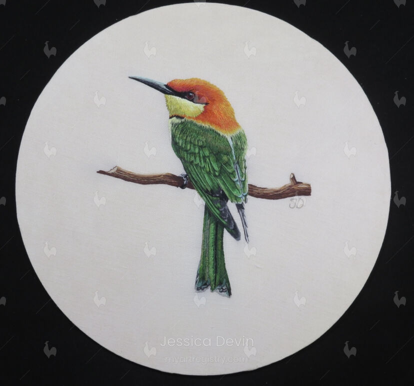 Chestnut Headed BeeEater Refaire