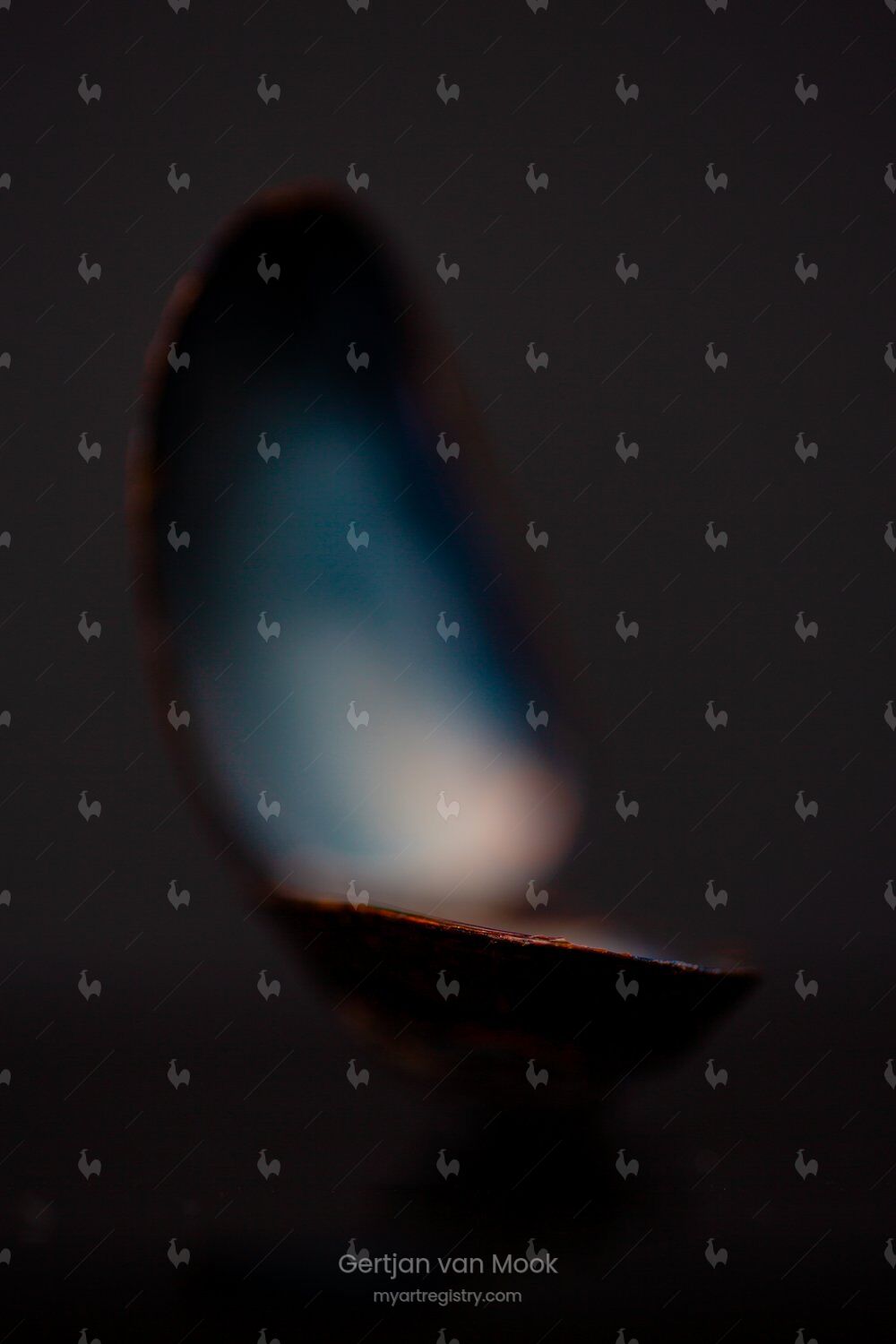 Mussel Study / Muschel Studie - IX