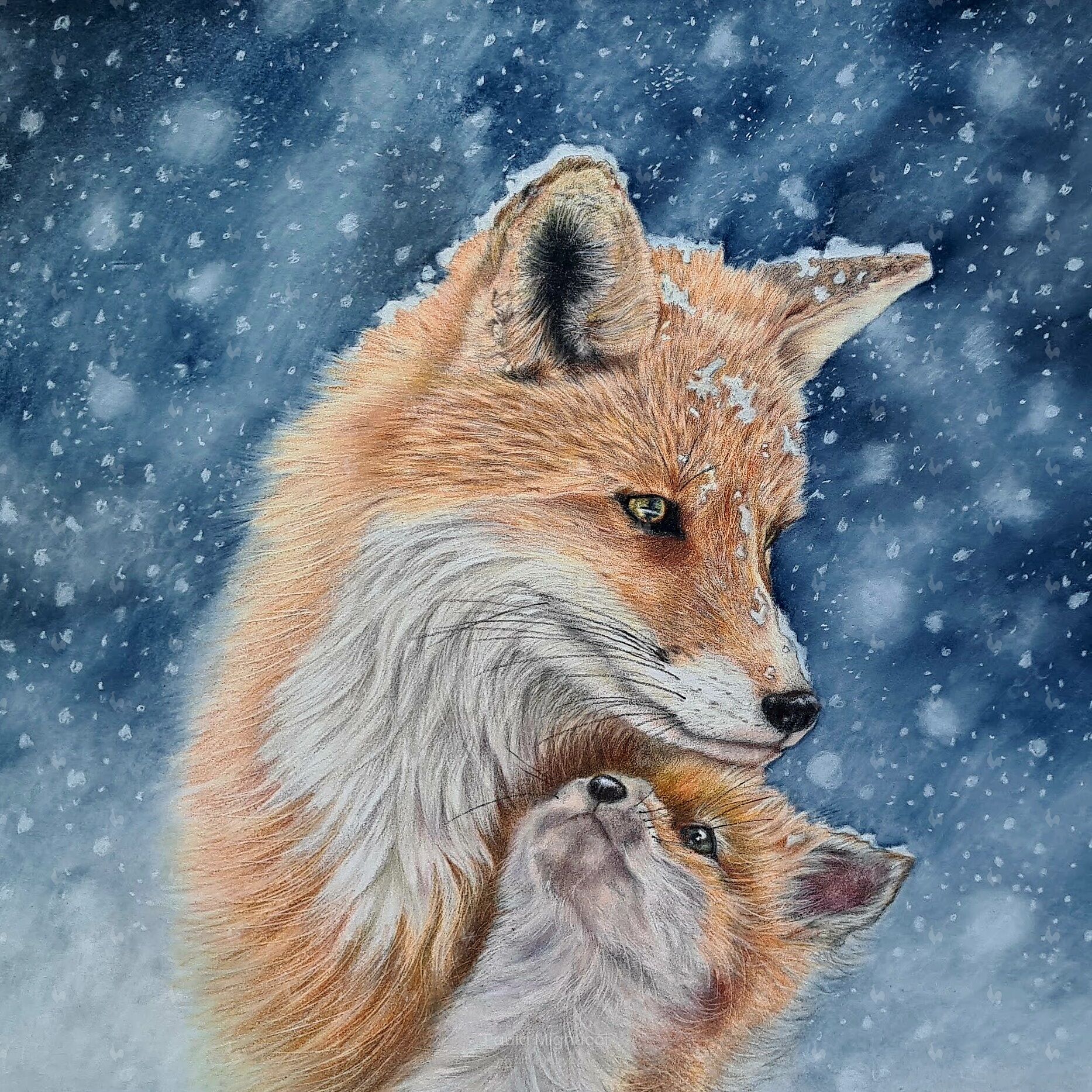 Taking Shelter