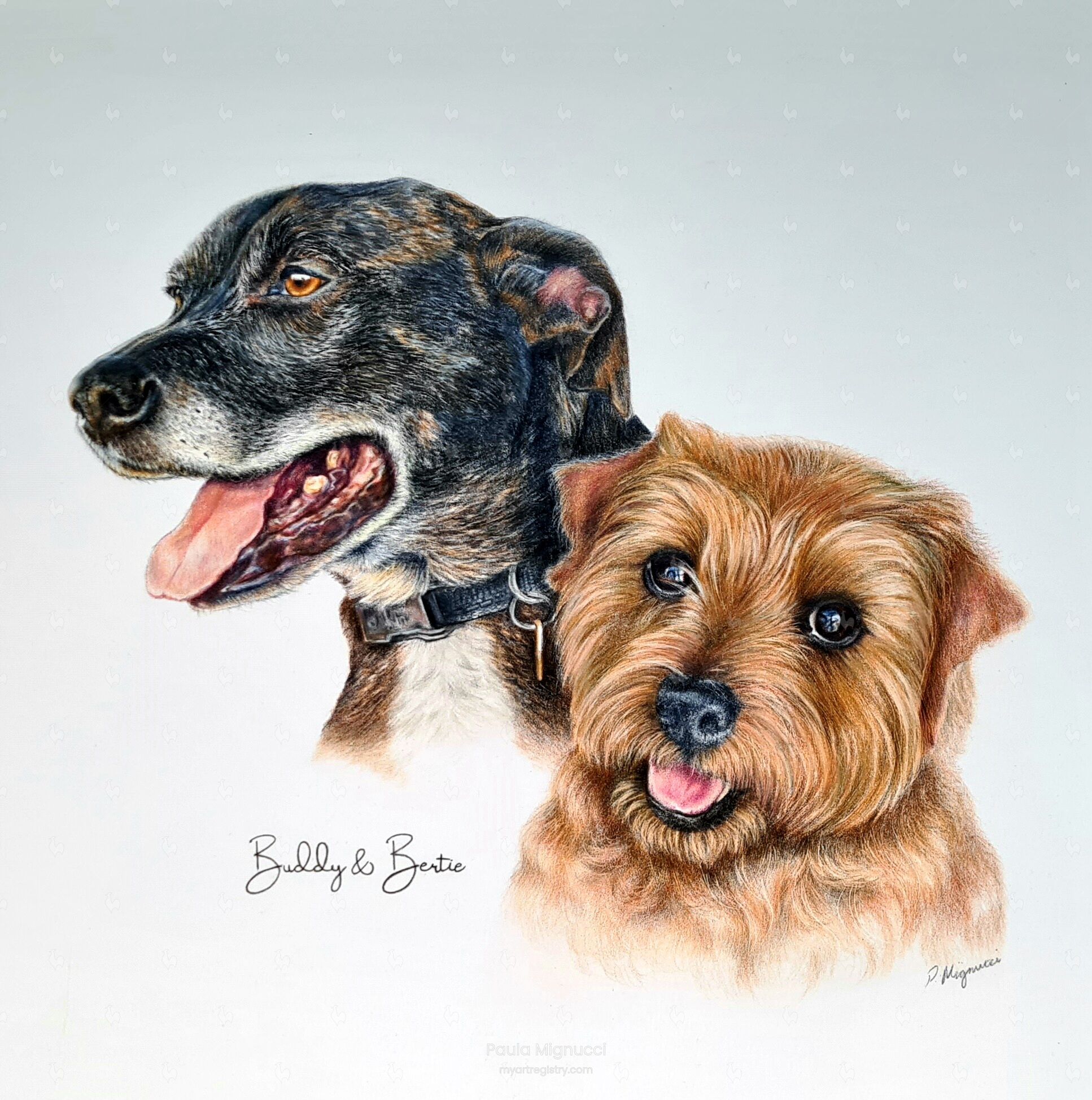 Buddy & Bertie