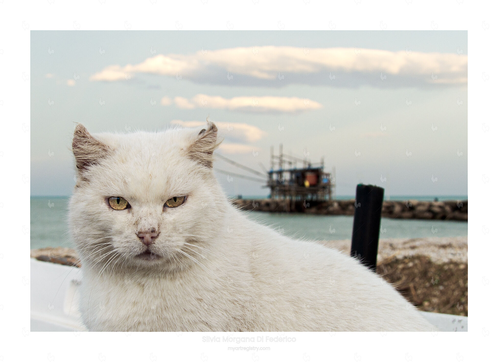 The guardian