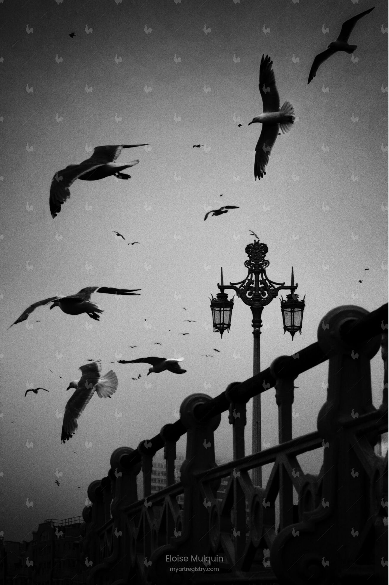 The Sky Above Brighton