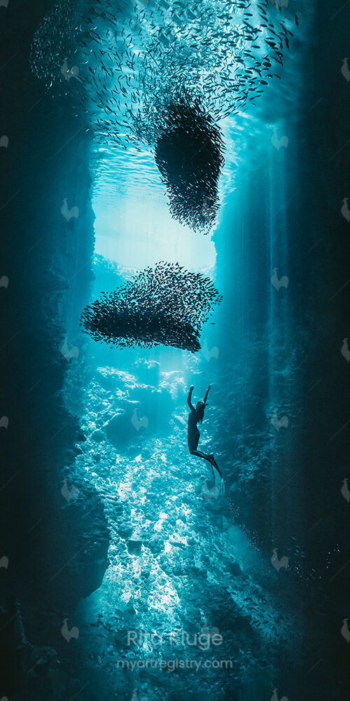 FREEDOM