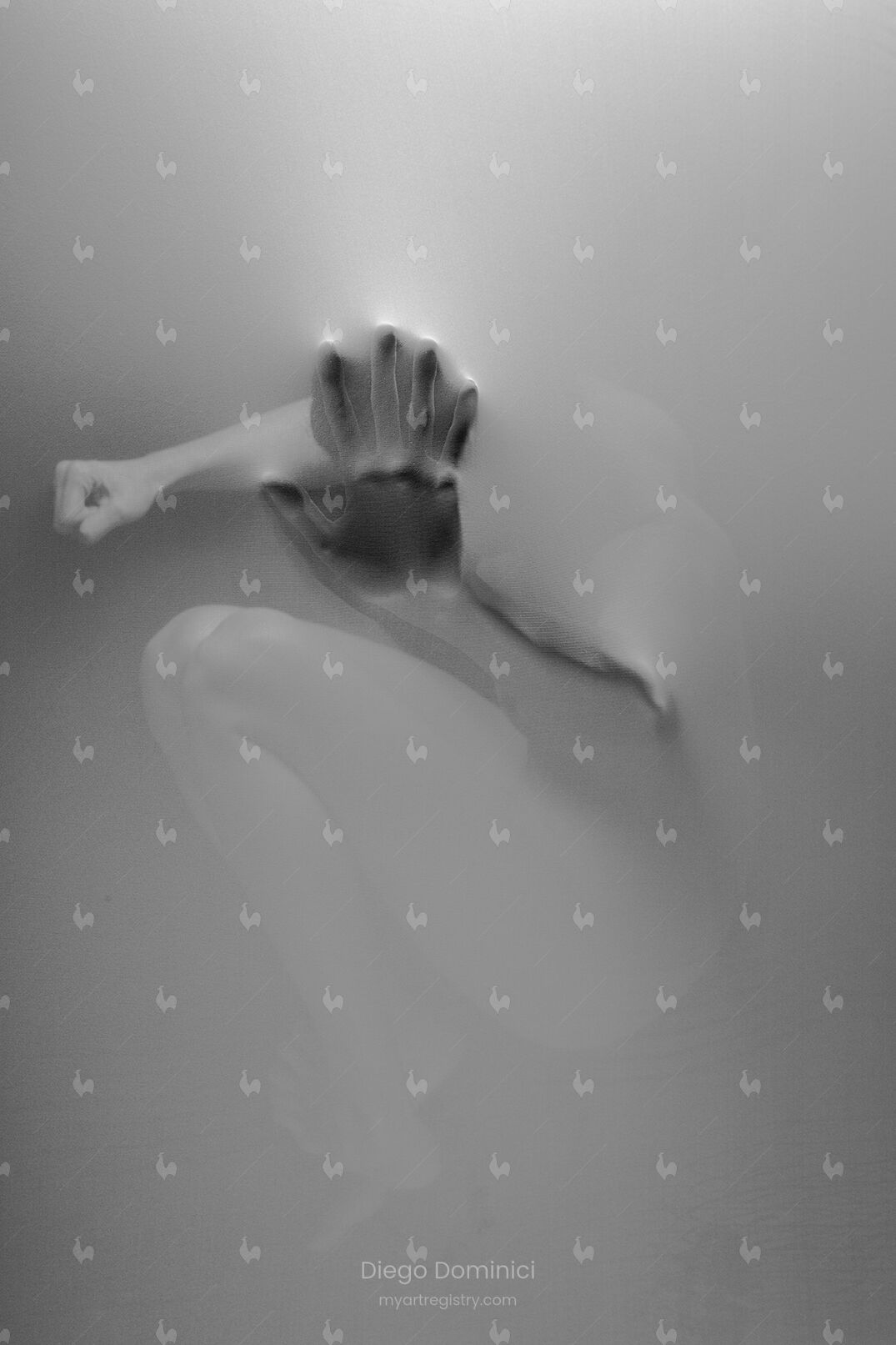 UNTITLED 29