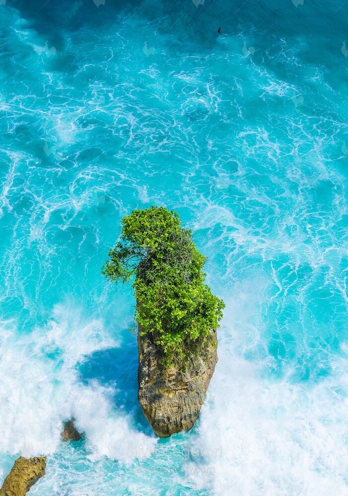 海岩 Sea rock