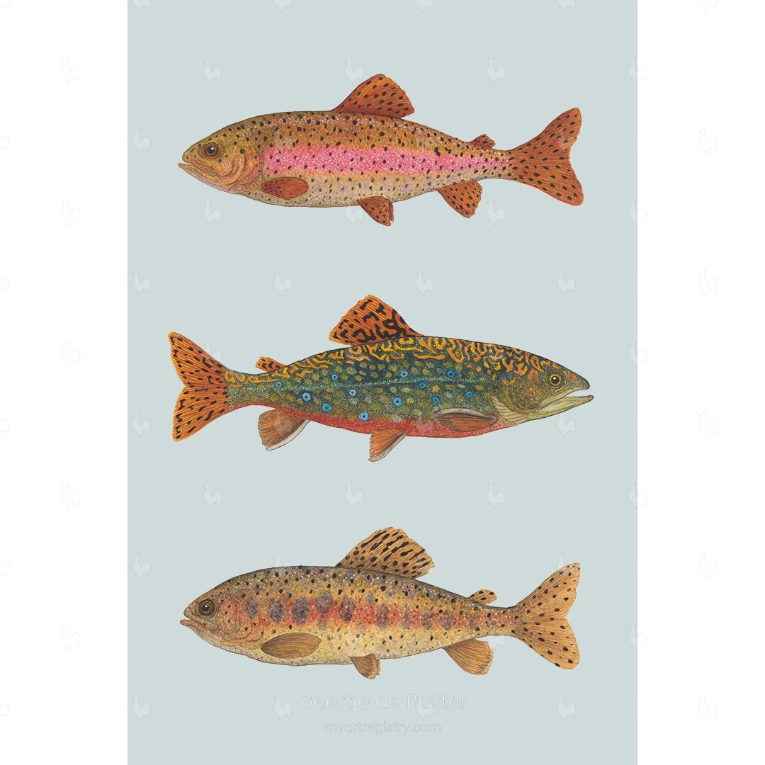 Fish Friday
