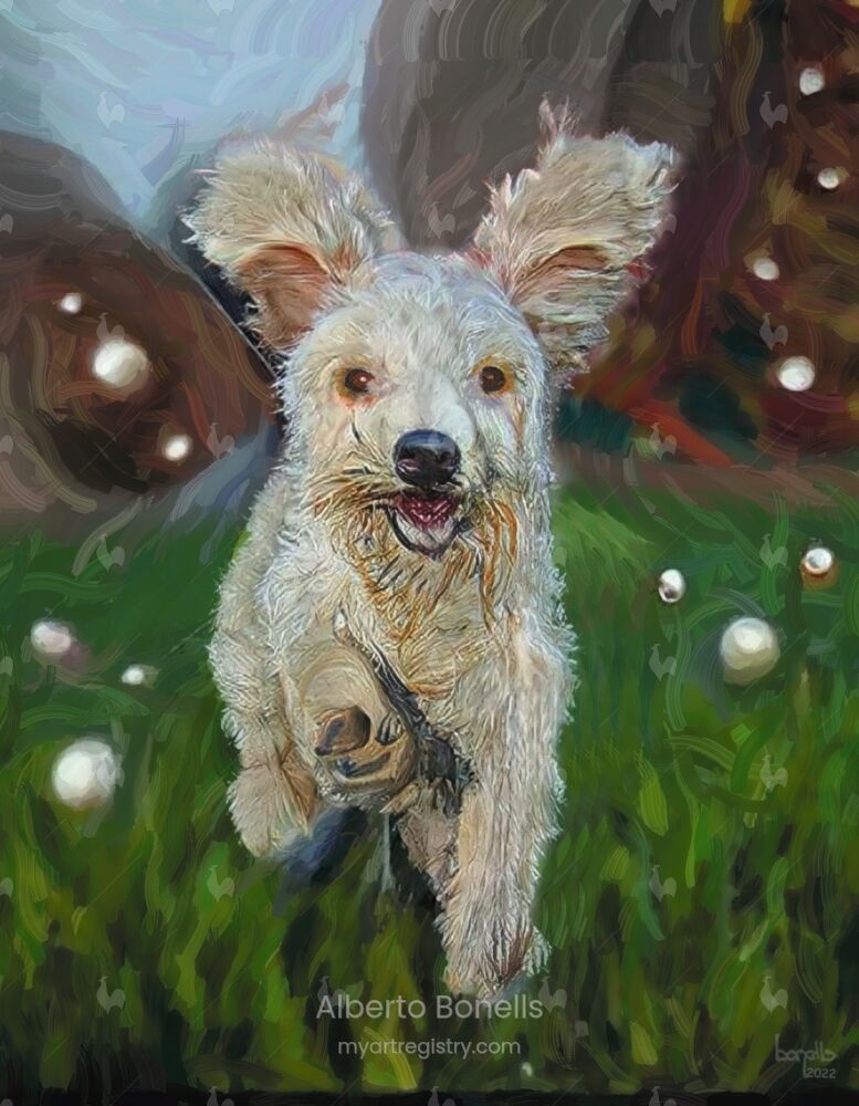 Dog running on the golf course