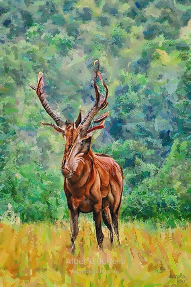 Antlered deer