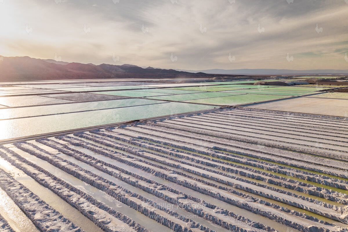 Lithium Fields
