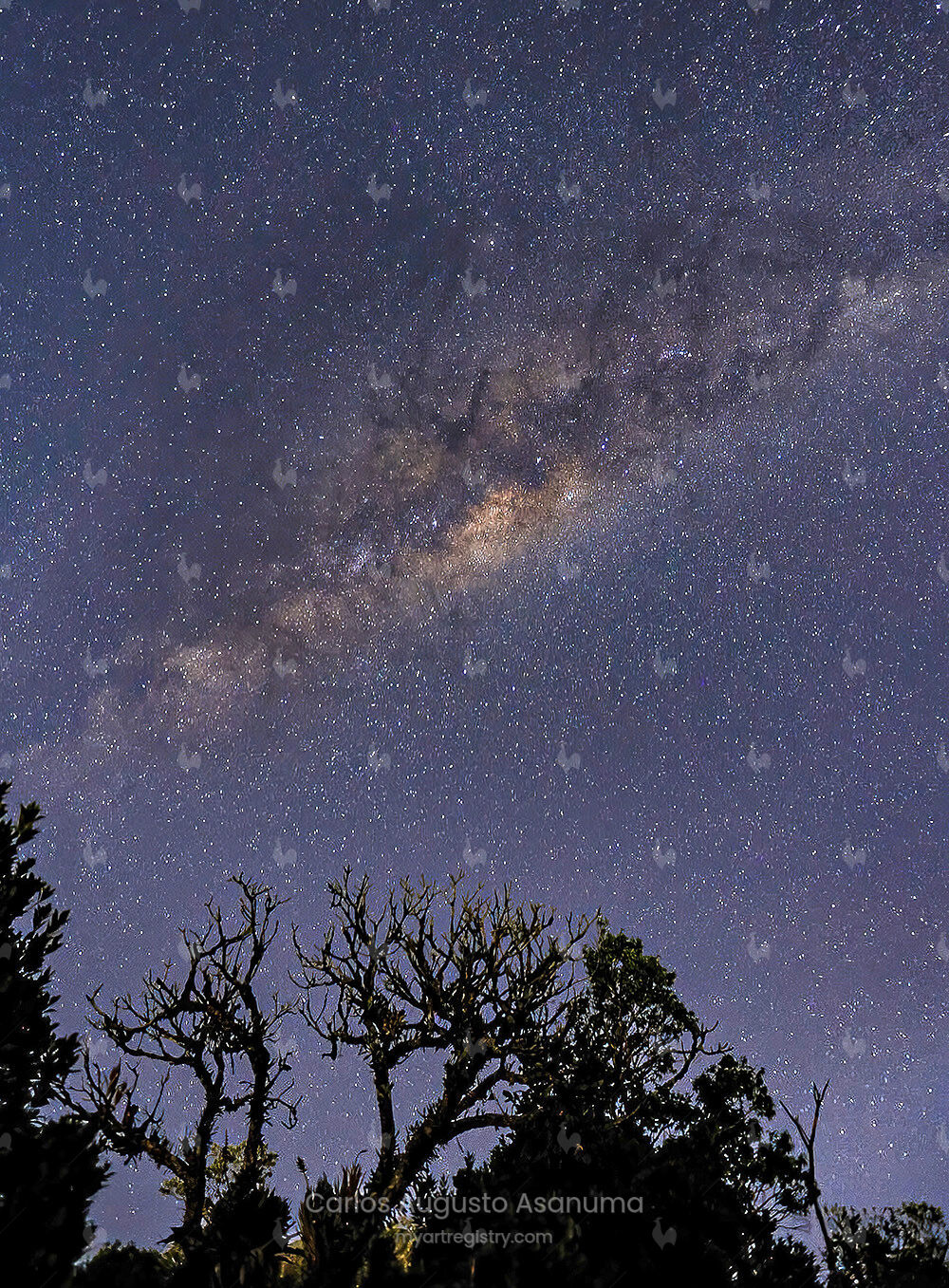 Milk Way