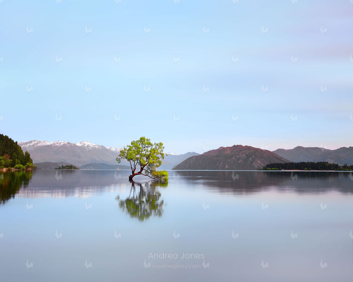 Grace Reflected