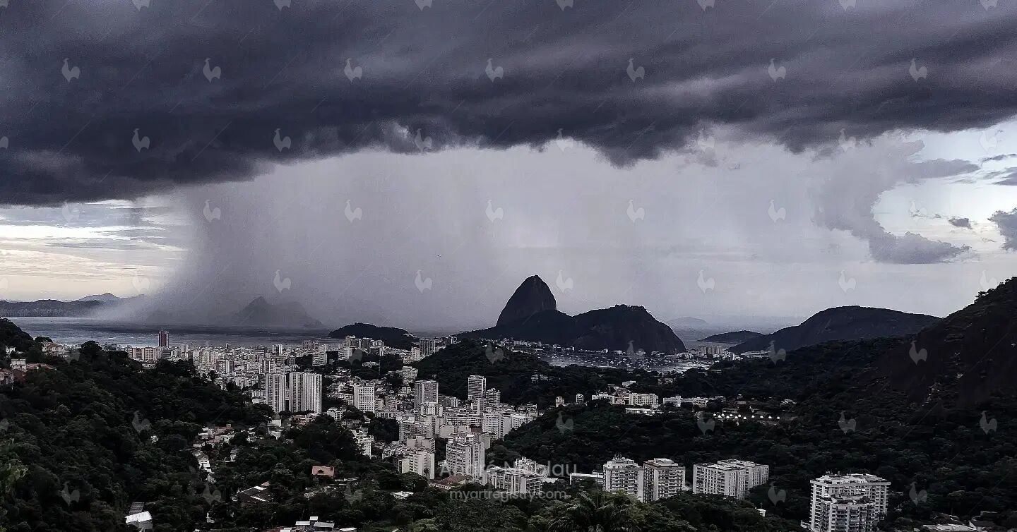 Sem Título (No Title)