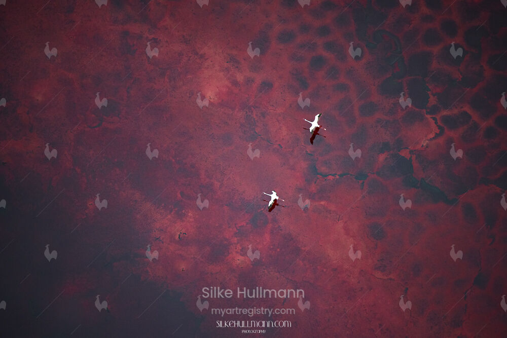 On Their Way to Mars (Limited Edition)