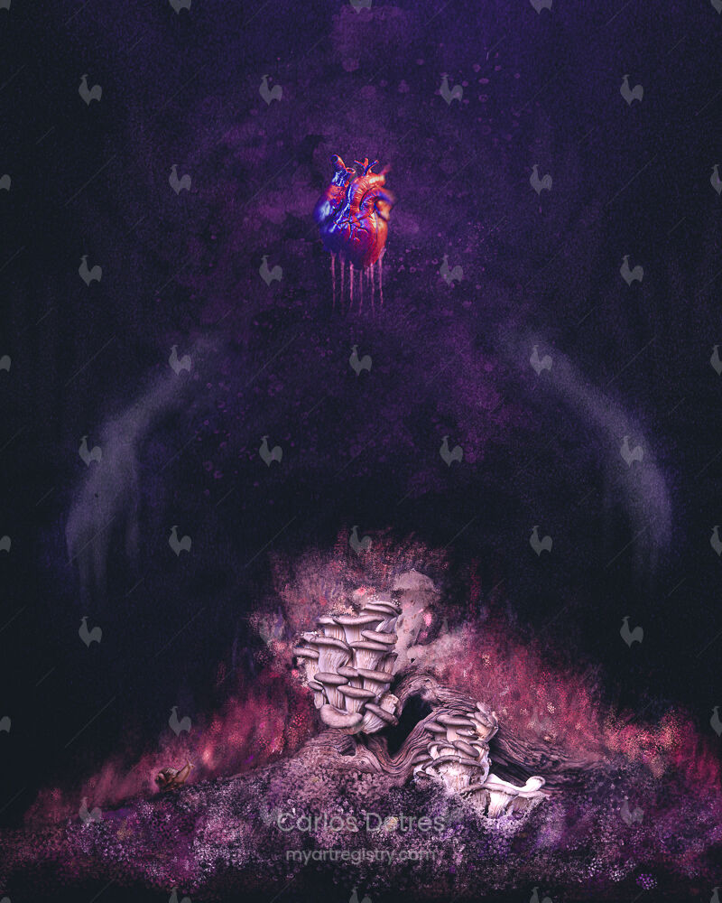 Fountain of Wisdom
