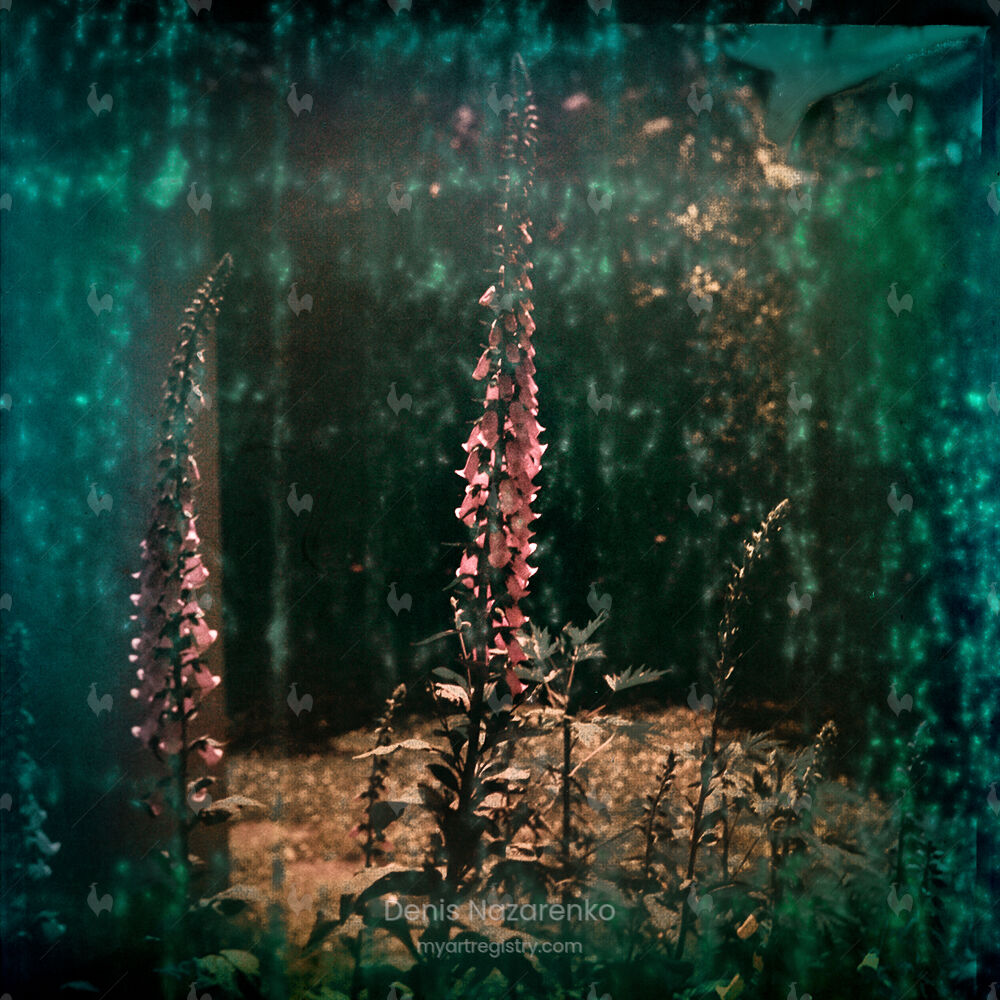 "Flowers preserved by darkness #3", 2023