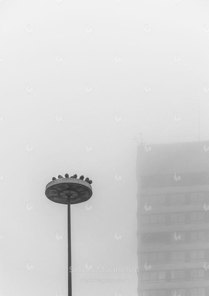 Pause dans la Brume