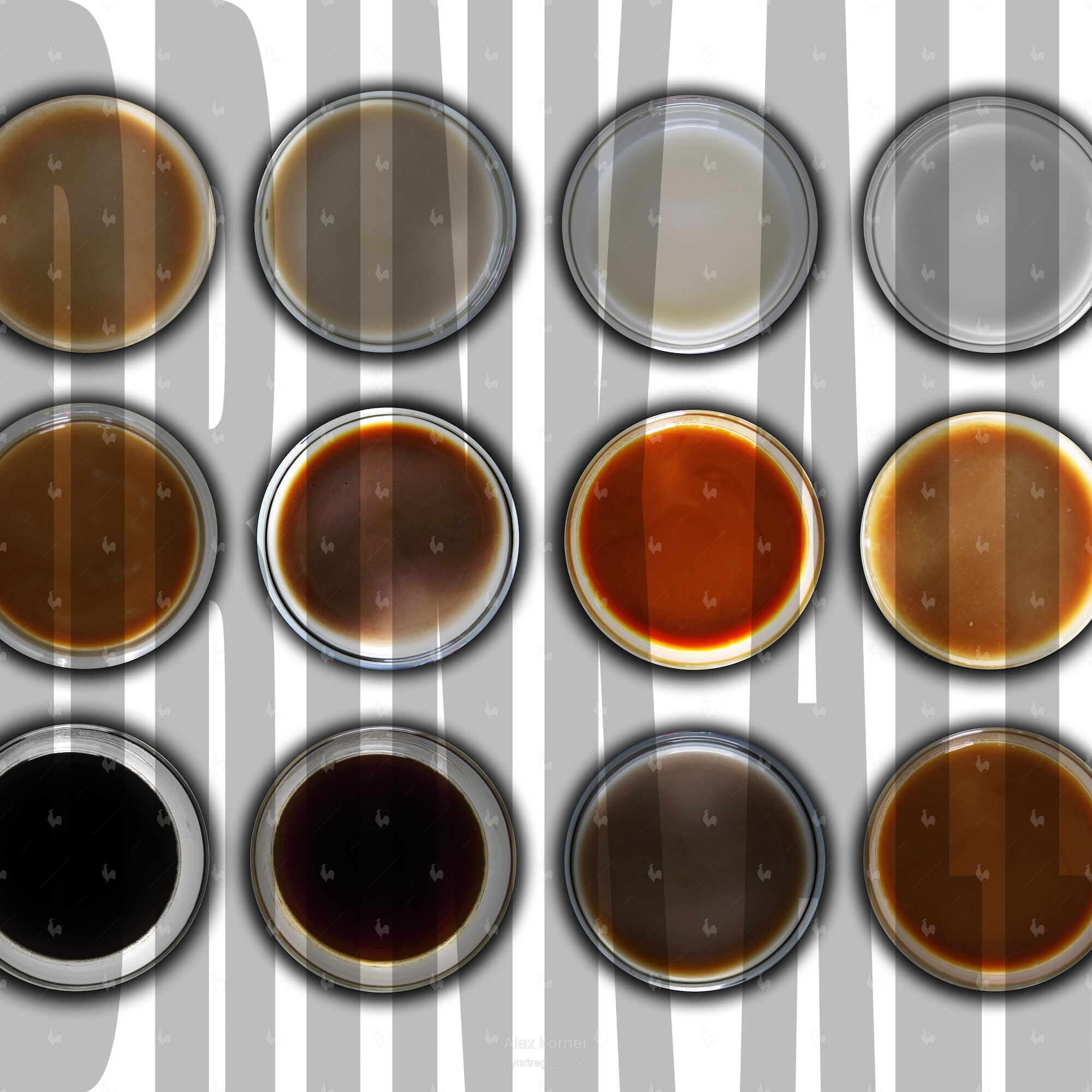 Colorful - Drink All